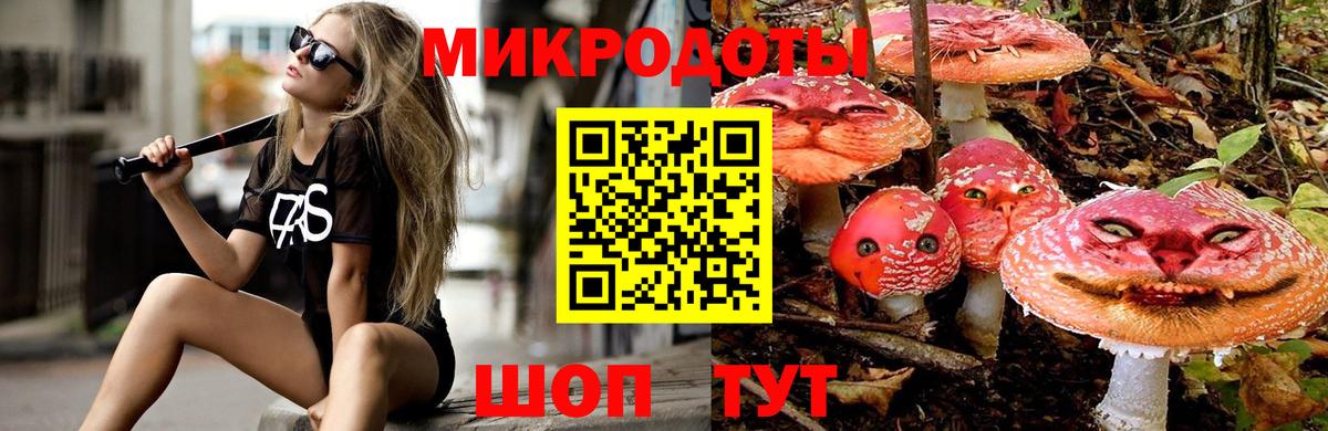 Псилоцибиновые грибы мицелий Кашира