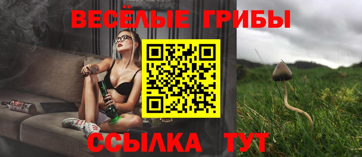 Псилоцибиновые грибы Psilocybe  Псилоцибиновые грибы Psilocybe  Кашира  Вход с VPN 